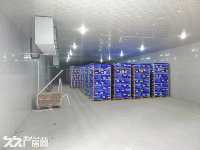冷冻仓库出租(非中介)冷藏仓库出租恒温仓库出租冷库出租